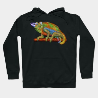 Jackon's Chameleon Hoodie